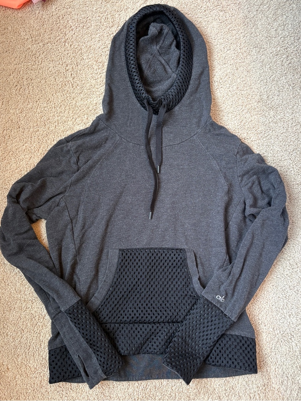 ALO Black Hoodie